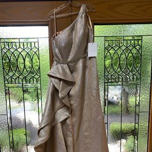 Mother-of-the-Bride Champagne Gown